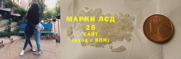 хмурый Алзамай
