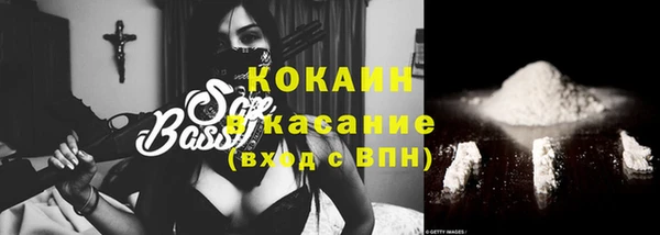 хмурый Алзамай