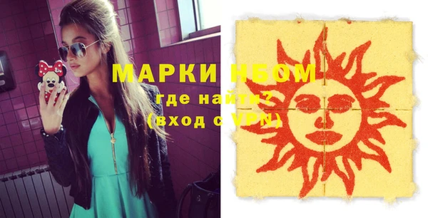 хмурый Алзамай