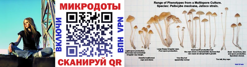 Галлюциногенные грибы MAGIC MUSHROOMS  OMG онион  Губкин 
